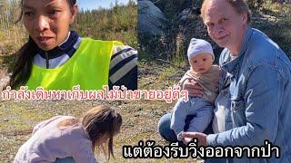 #กำลังเดินหาผลไม้ป่าขายอยดีๆู่แต่ต้องรีบวิ่งออกจากป่า