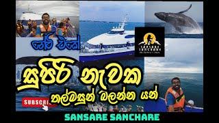 Whale Watching Sri Lanka with SL NAVY | ගාලු වරායෙන් සුපිරි නැවක යමු | Sansare Sanchare