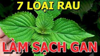 7 LOẠI RAU THƠM Nên Ăn Hàng Ngày ĂN - LÀM SẠCH GAN, MỠ MÁU CAO, ổn định HUYẾT ÁP CAO, CHỐNG ĐỘT QUỴ