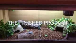 HOW TO SETUP A BOA CONSTRICTOR VIVARIUM