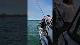 Kids Catching Rockfish Off the Boat #rockfish