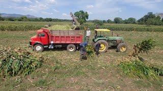 Estos hombres trabajan duro en el sector agrícola de El Salvador 