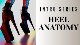 Pole Dance Shoes Deconstruction - Get to Know Your Pole Dance Heels! *SPECIAL ANNOUNCEMENT INSIDE*