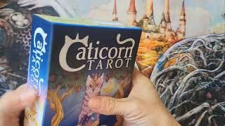 Caticorn Tarot fast walkthrough