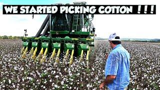 FIRST DAY OF ALABAMA COTTON HARVEST 24'