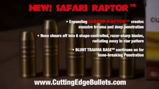 New Safari Raptor