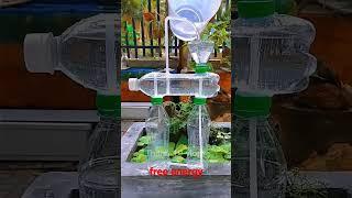 Fuente hecha con botellas de Plástico #virashort #tendingreels #experiment #science #scienceproject