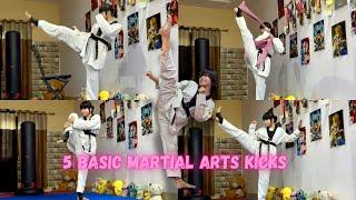 5 basic martial arts kicks tutoriallkicks every girl should knowltutorial lbeginners guide lmma