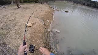 Fishing Warren Reservoir, Adelaide, South Australia #warrebreservoir#reserviorfishing#carp#fishing