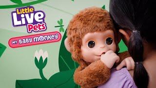 LITTLE LIVE PETS I MY BABY MONKEY TVC I 30