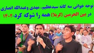 نوحه خوانی سید عظیم- مهدی و عبدالله انصاری در بین الحرمین (کربلا) همه را شوکه کرد-1402