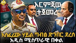 አስፈሪው ሃይል ግብፅ ድንበር ደረሰ | አዲስ ሚስጥራዊ በቀል @HuluDaily - ሁሉ ዴይሊ