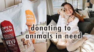 our adventure to help animals during the pandemic | XO, MaCenna Vlogs