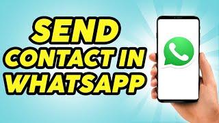 How to Send Contact in WhatsApp - Practically Simple