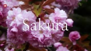 (무료) 아련하고 슬픈 BGM ' 사쿠라 ' / Free Background Music ' Sakura '