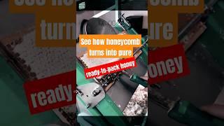 Advanced Honeycomb Extractor: Watch Raw Honey Turn Into Pure Packaged Gold in Seconds