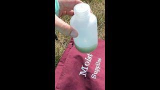 What to do with dirty paint water outside  Plein air tips #shorts