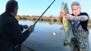 Pecanje štuke, šarana i babuške na jezeru Tvrdenjava - Surčin | Fishing pike and carp in Serbia