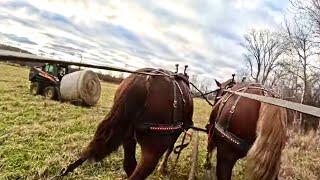 HAULING ROUND BALES for Us & our Amish Neighbor, Andy! #710