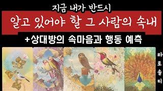 [타로카드/속마음] 지금 내가 반드시 알고 있어야 할 그 사람의 속내는? (+상대방의 속마음과 행동 예측/관계 조언)