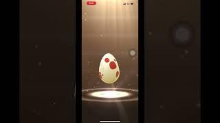 【ポケモンGO】激レア色違いポケモンが爆誕？！12kmタマゴ3連#ポケモンgo #shorts ＃私は最強