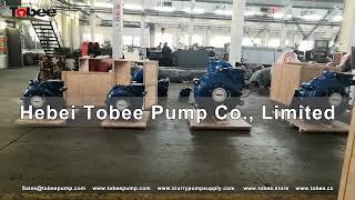 Tobee® Rubber Slurry Pump