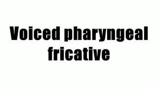 Voiced pharyngeal fricative