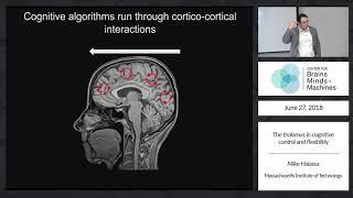The thalamus in cognitive control and flexibility
