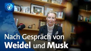 Zahlreiche Falschaussagen bei Talk zwischen Weidel und Musk