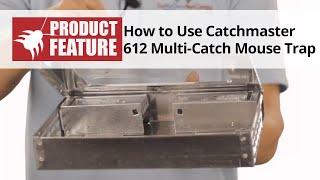 How to Use the Catchmaster 612 Multi-Catch Mouse Trap