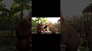 Lão Và Capy | Capy giúp ông lão làm vườn rồi trộm cá... #veo3 #viral #funny #laovacapy #spacemedia