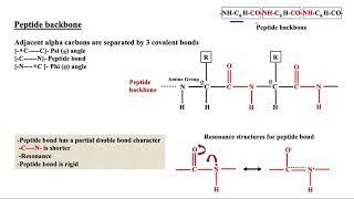 Dihedral and Torsional Angles