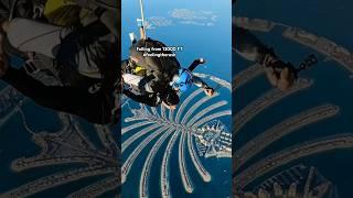 Falling from 13000 ft The Palm Jumeirah ,Skydive Dubai #skydivingdubai crushed #fearofheights 