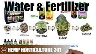 How To Water & Fertilize Hemp From Seed To Flower