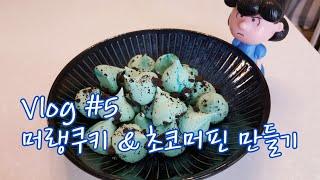 머랭쿠키, 오레오머랭쿠키, 초코머핀, 홈베이킹, 고양이, 베이킹 브이로그, meringue cookie, choco muffin, homebaking, cat