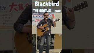 Blackbird (THE BEATLES / COVER)