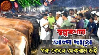 আকরাম ভাই মানেই ভিন্ন কিছু! আজকের গরু গুলো কেমন হলো? গাবতলী গরুর হাট ২০২৪