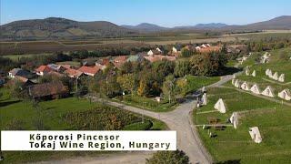 Discover Koporosi Pincesor (Hercegkut) - Hungary's BEST Kept WINE CELLARS in the Tokaj region