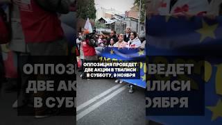 Грузинская оппозиция проведет в Тбилиси несколько акций протеста в субботу, 9 ноября #грузия