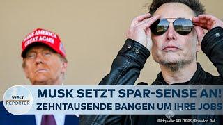 USA: Elon Musk will gnadenlos in Washington aufräumen! Regierungsangestellte in Panik um ihren Job!