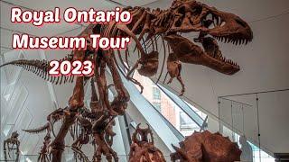 Royal Ontario Museum Full Tour from Ground Level to Fourth Level | What's Inside The ROM