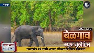 बेळगाव न्यूज बुलेटिन | Belgaum News Bulletin | 10-02-2025