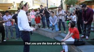 Thuy Nhung Proposal
