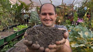 COMO COLOCAR CINZA NA HORTA CORRETAMENTE