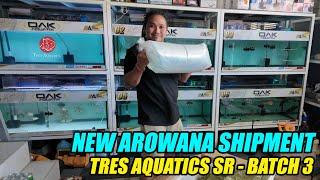 Bagong Dating Na Super Red Arowana Galing Indonesia