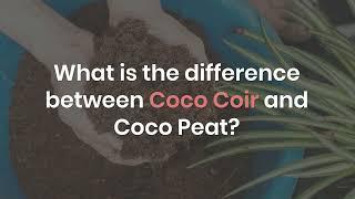 What Is The Difference Between Coco Coir And Coco Peat?