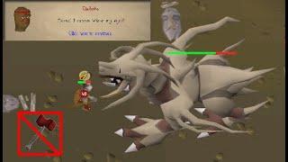 OSRS no DWH Solo Corporeal Beast with BGS only | Bossing Guides and Tips