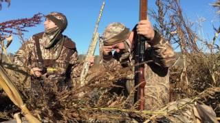 Opening Day Duck Hunt 2016