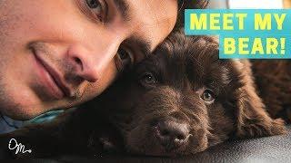 MEET MY BEAR PUPPY! | Health Benefits of Having a Dog | Doctor Mike