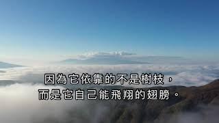 白話佛法正能量